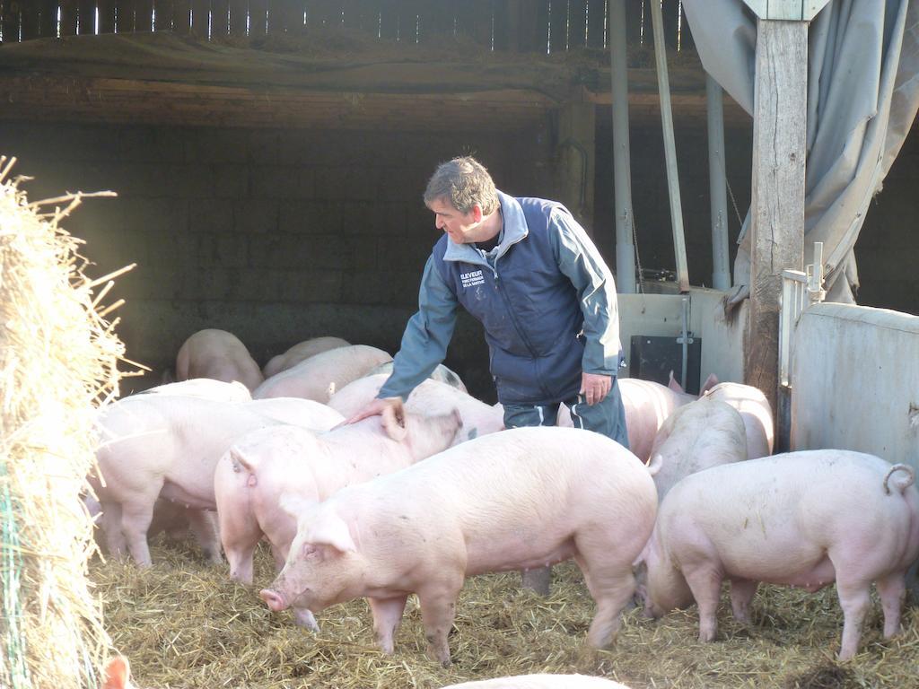 La Ferme Chauvet Bed and Breakfast Chantenay-Villedieu Buitenkant foto